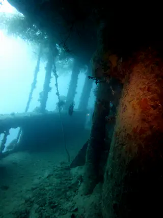 Underwater photograph by Joel Bergsma