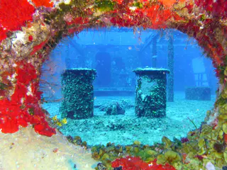 Underwater photograph by Joel Bergsma