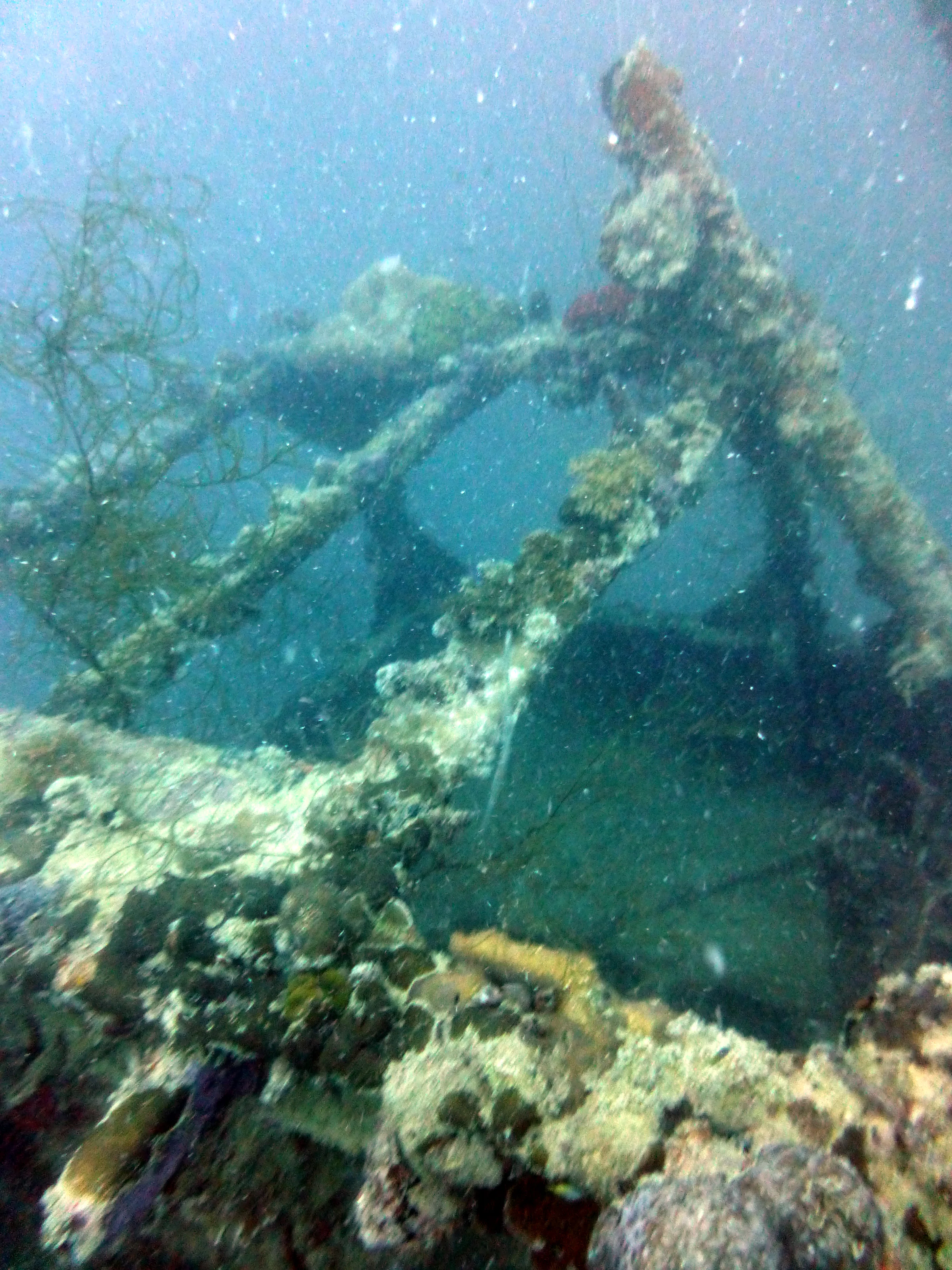 Palau underwater photograph, 2013