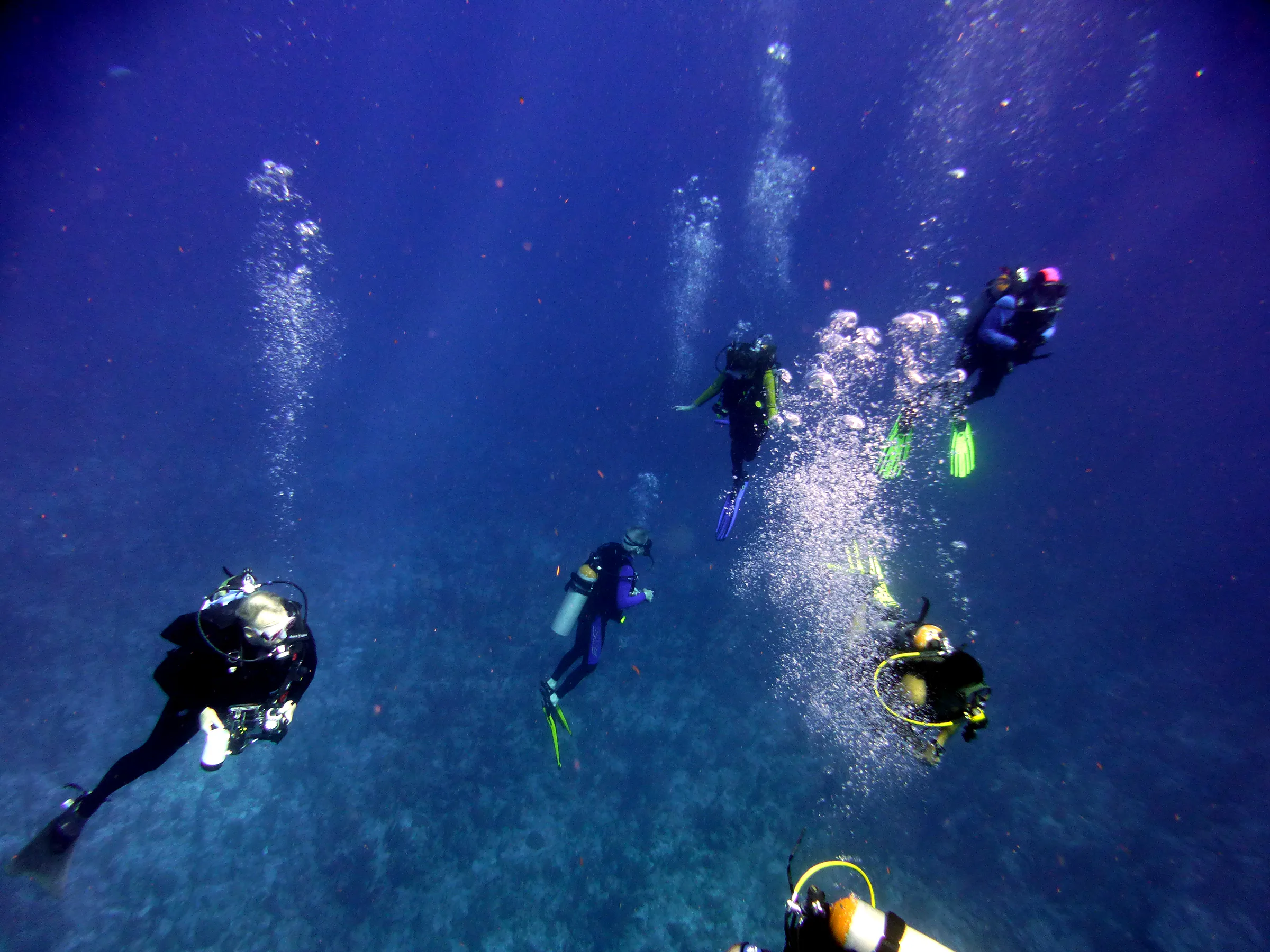 Belize underwater photograph, 2017
