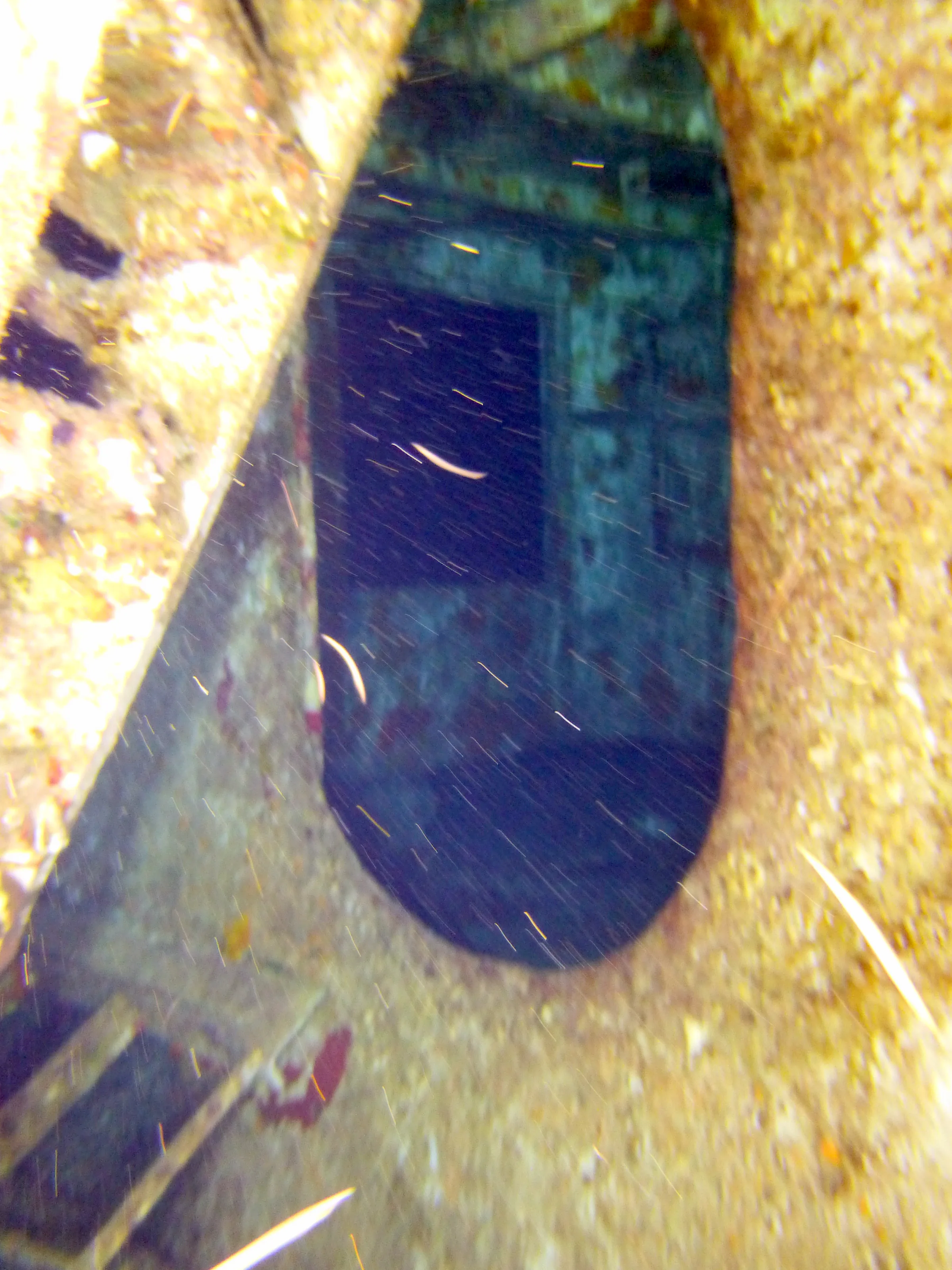 Cayman Islands underwater photograph, 2014