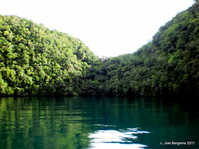 2011-01-15 Rock Islands by boat (14).JPG