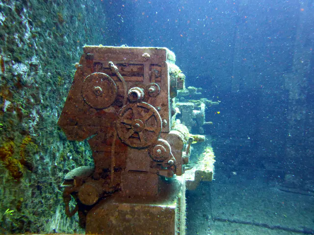 Underwater photograph by Joel Bergsma