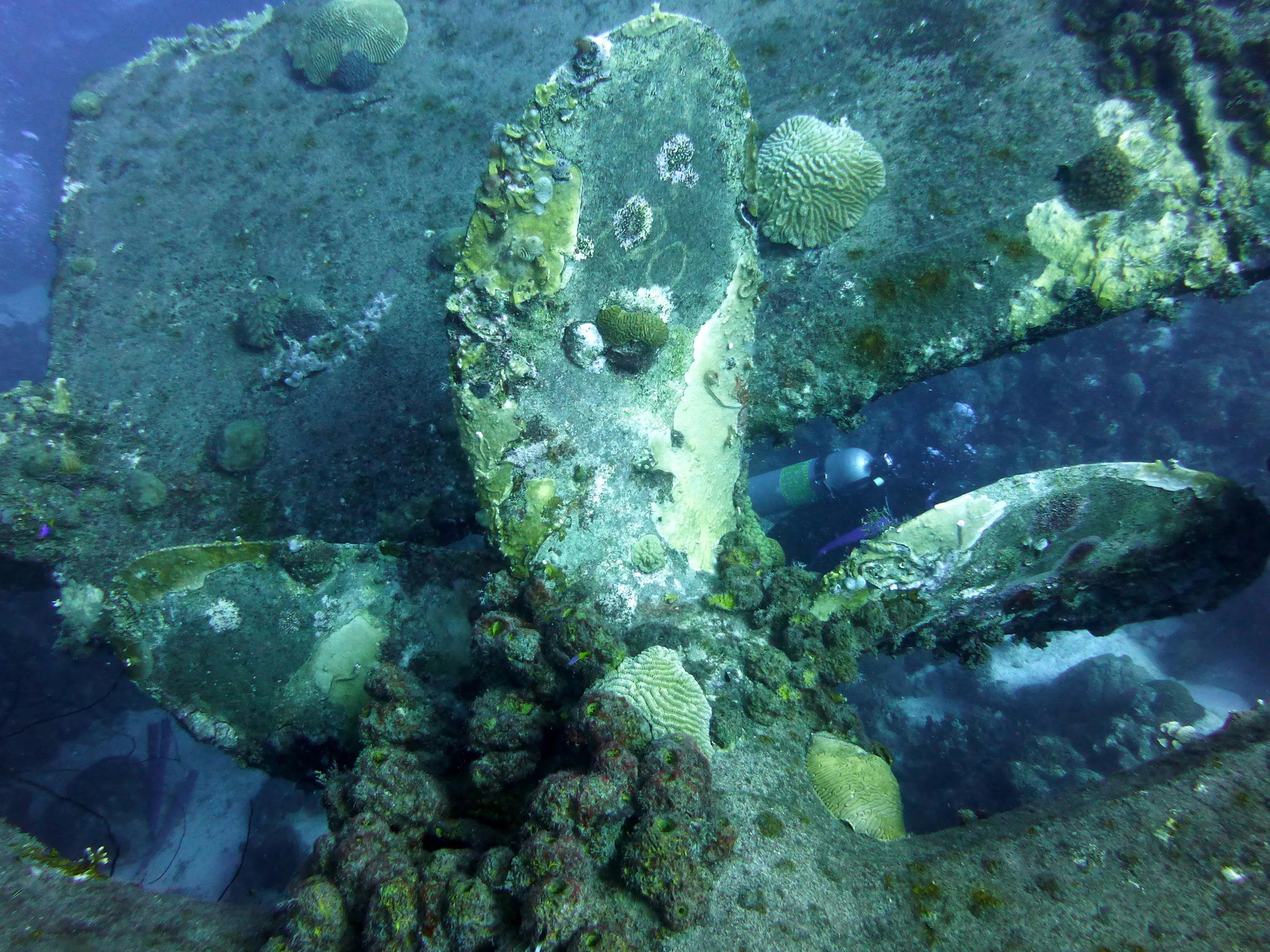 Bonaire underwater photograph, 2013