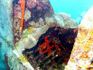 Gunner's red seat frame
