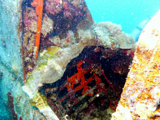Gunner's red seat frame