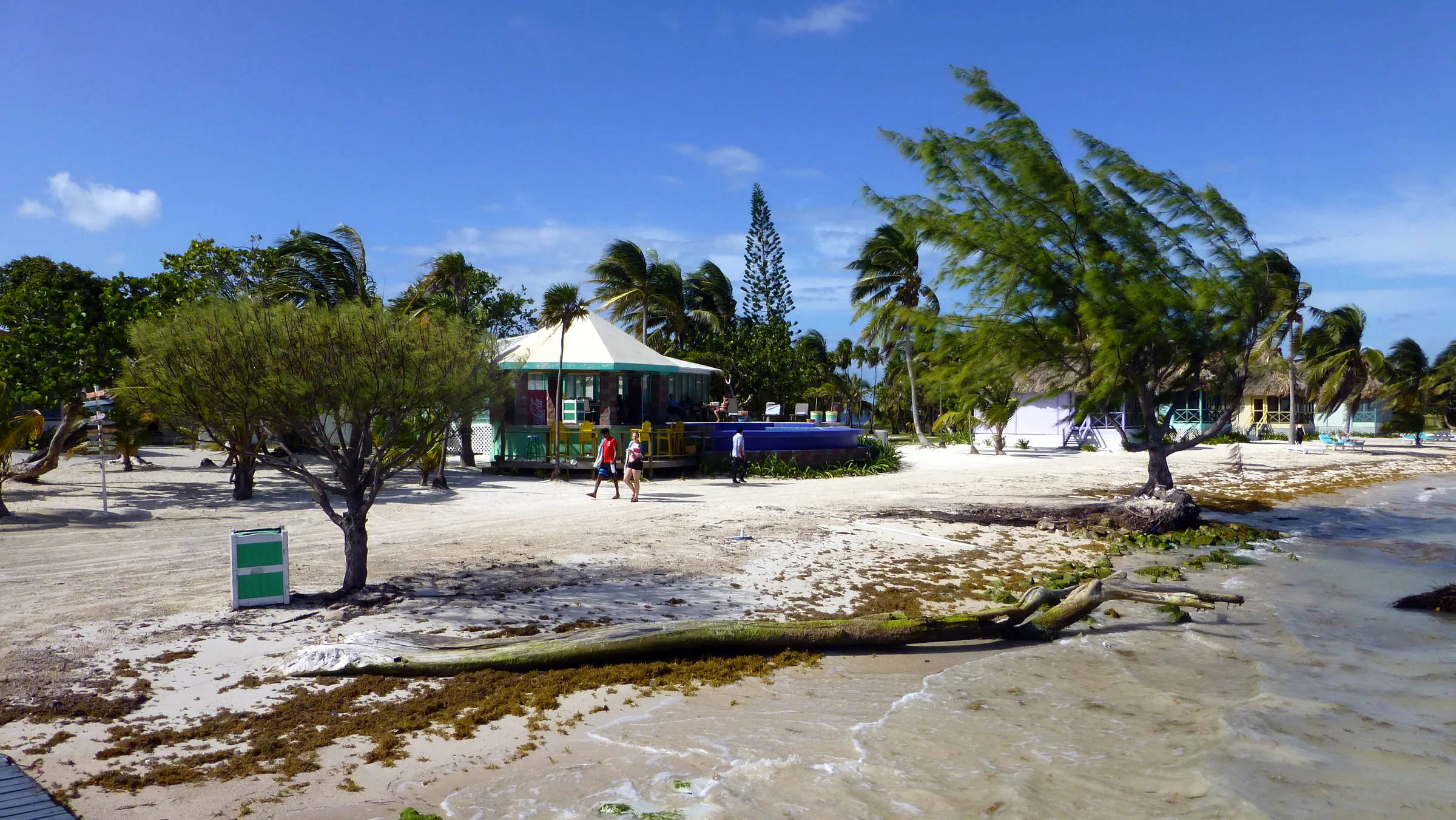 Belize underwater photograph, 2017