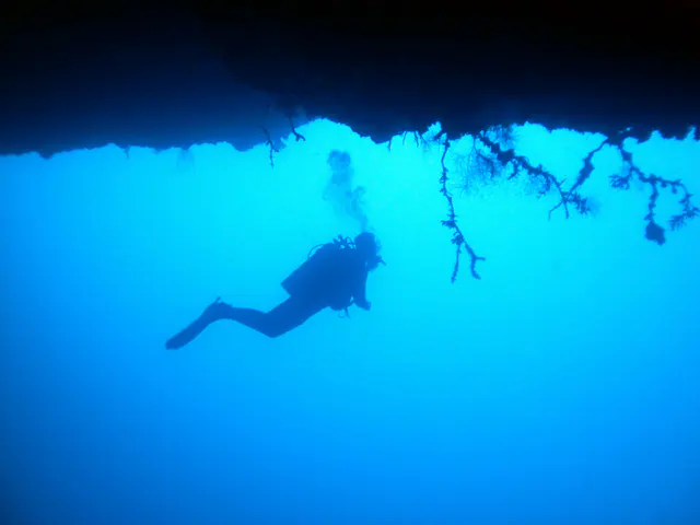 Looking toward a diver at about 85' who has exited the cavern.