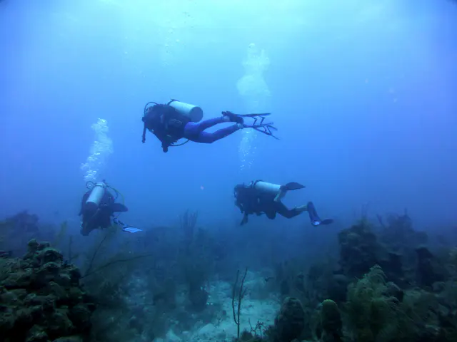 Underwater photograph by Joel Bergsma