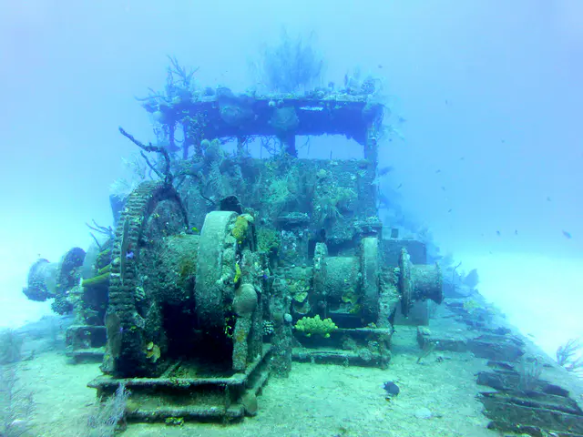 Underwater photograph by Joel Bergsma