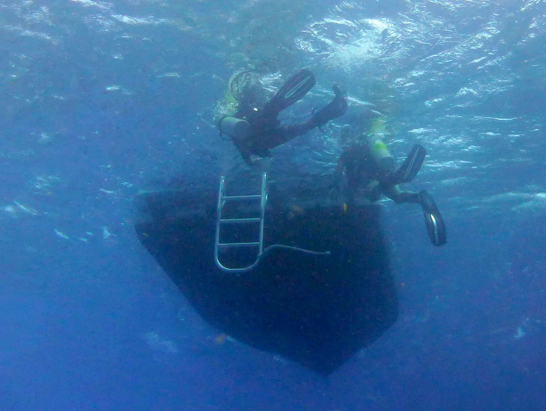 Bonaire underwater photograph, 2013