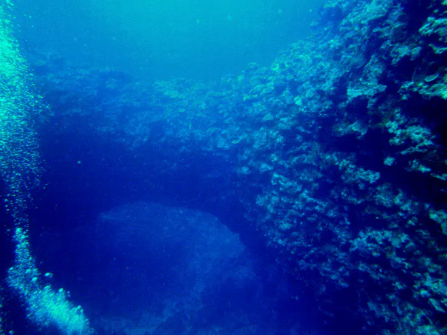 The Coral Bridge, a divesite west of Babeldaop Island.