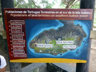 Ten areas on Isabela where the Giant Tortoises are found.  Four of the species are unique to Isabela Island, each grouped around a different volcano.  Because of the lava flows, the tortoises were unable to cross the island from one volcano to another, so the tortoises evolved into different species over time.