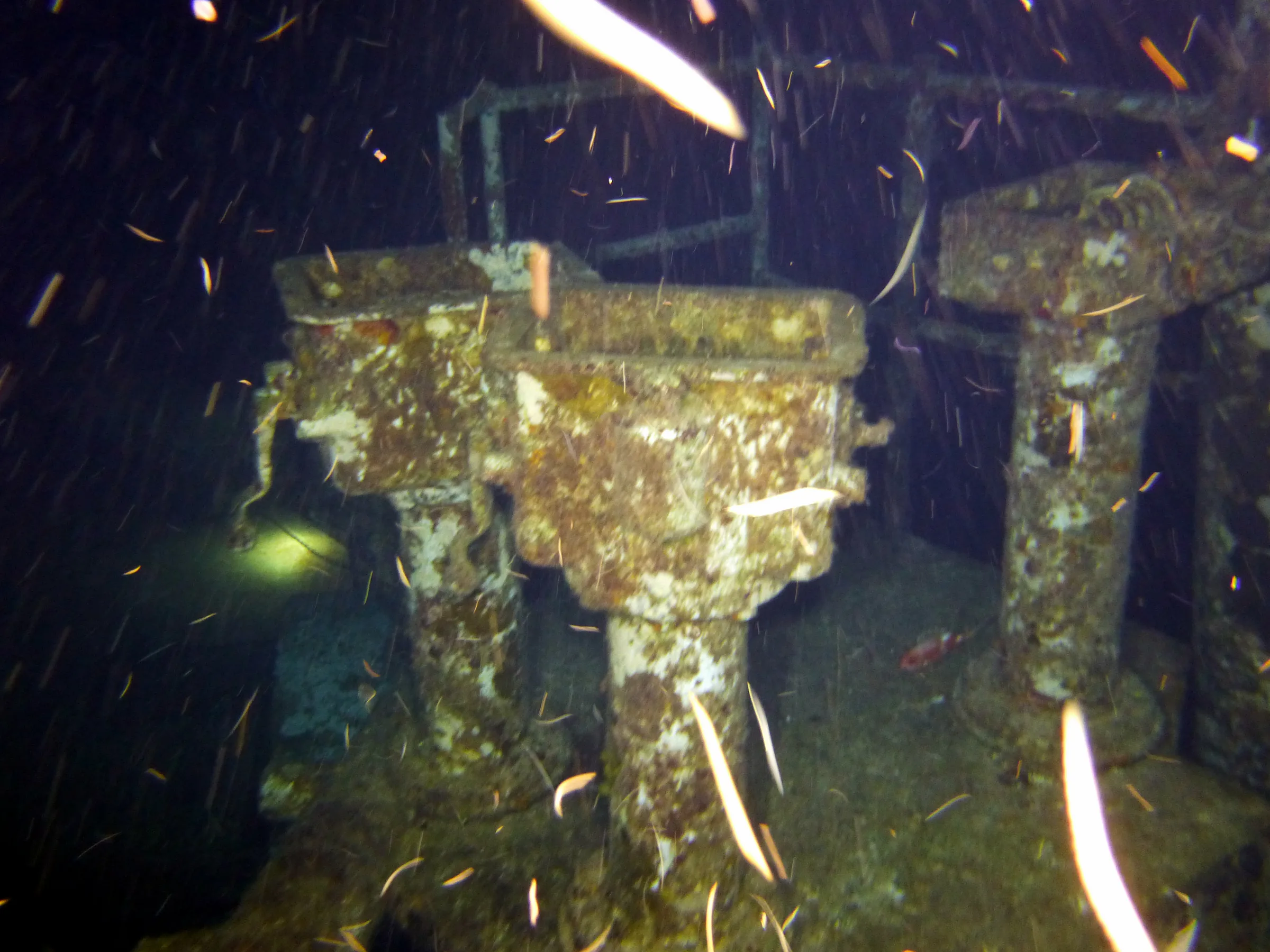 Cayman Islands underwater photograph, 2014