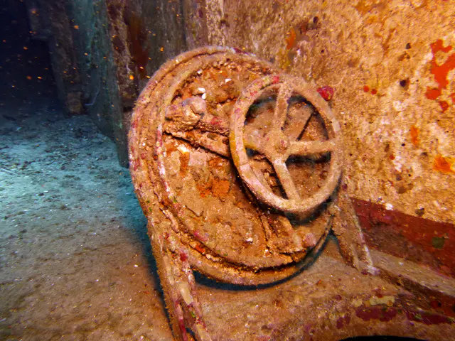 Underwater photograph by Joel Bergsma