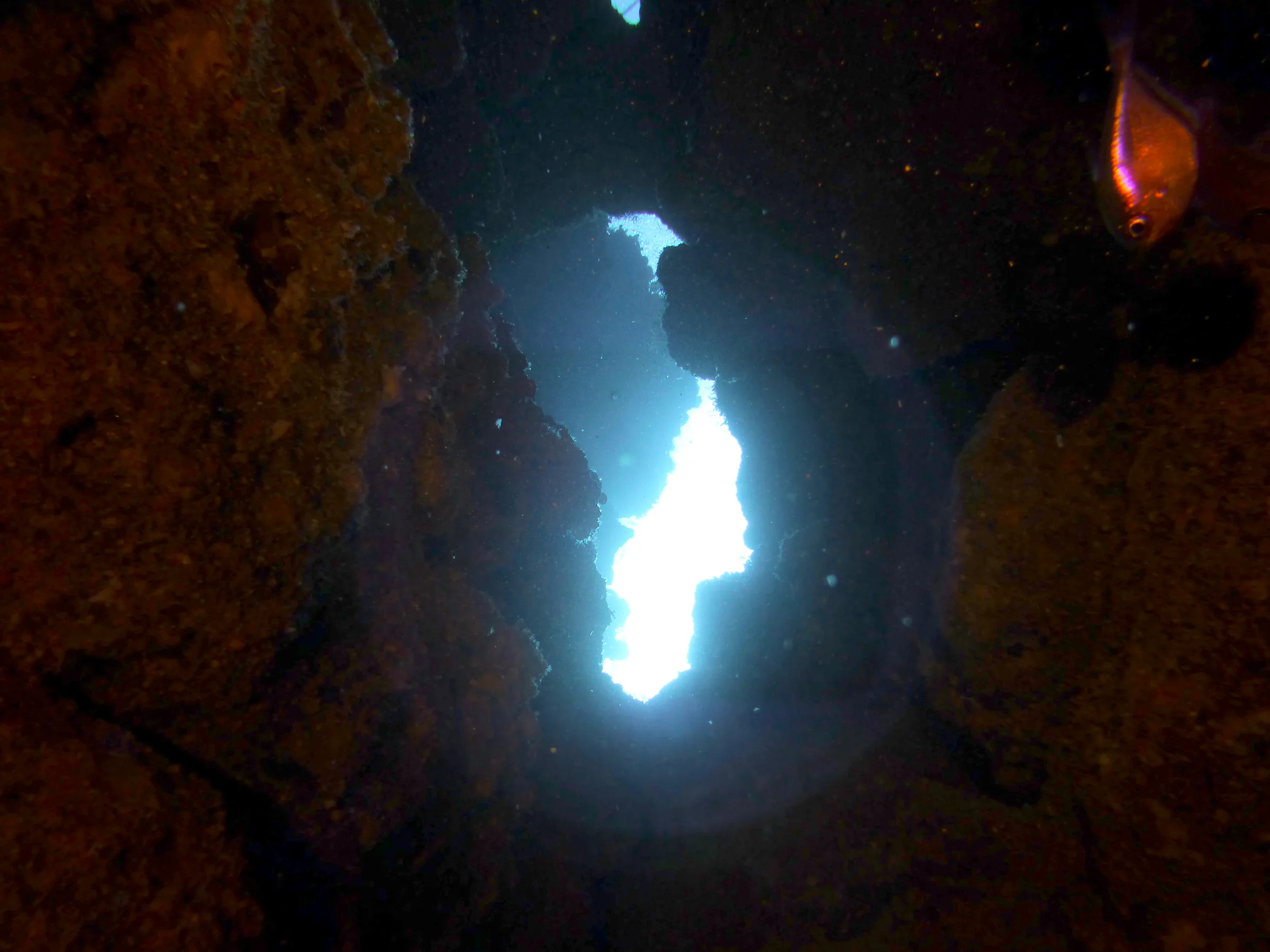 Belize underwater photograph, 2017