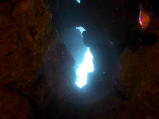 Underwater photograph by Joel Bergsma