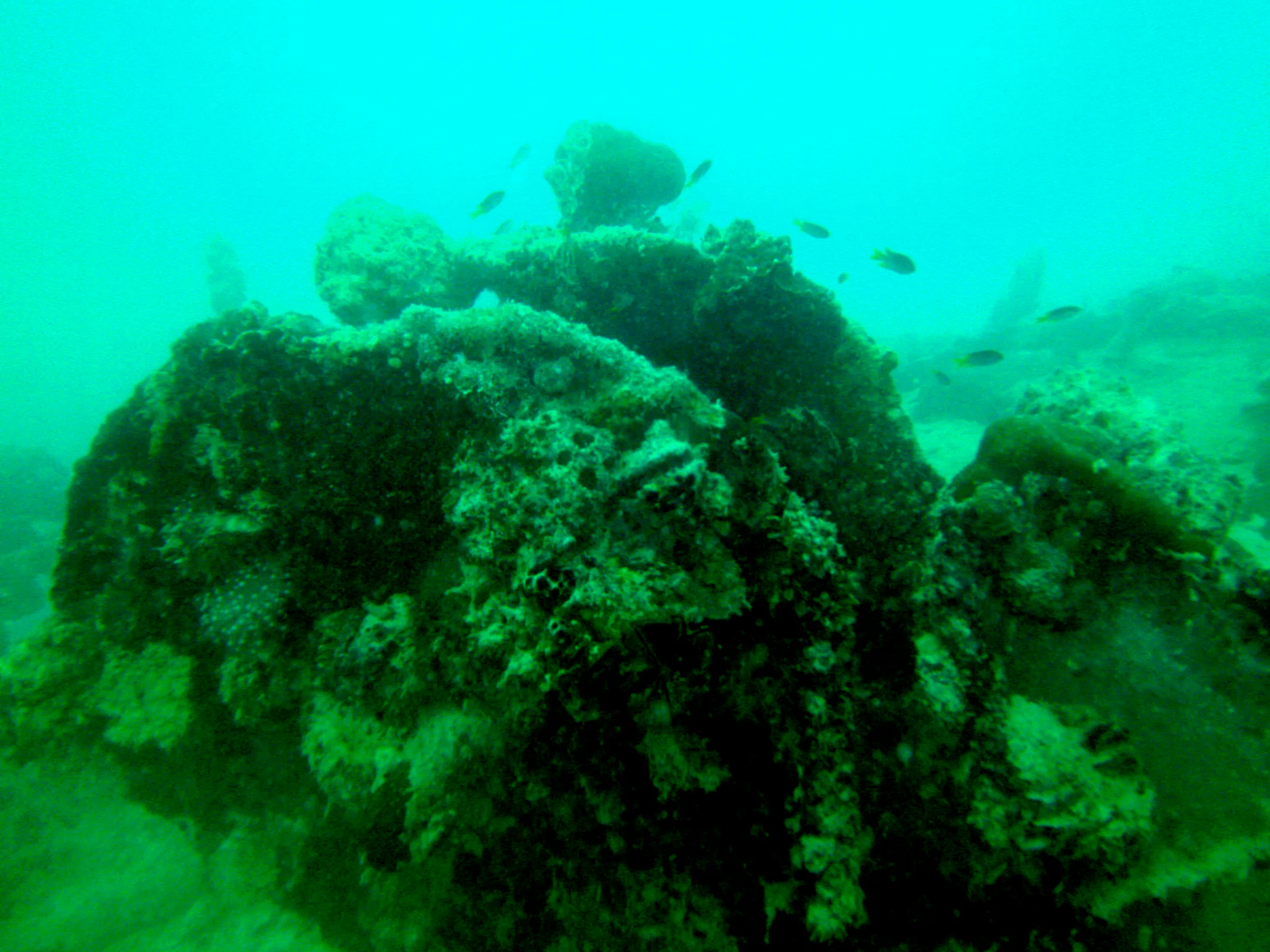 Wreckage on the main deck of the WWII Wreck Nagisan Maru.