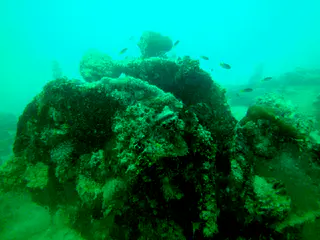 Wreckage on the main deck of the WWII Wreck Nagisan Maru.