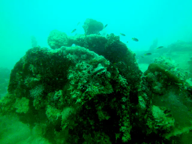 Wreckage on the main deck of the WWII Wreck Nagisan Maru.
