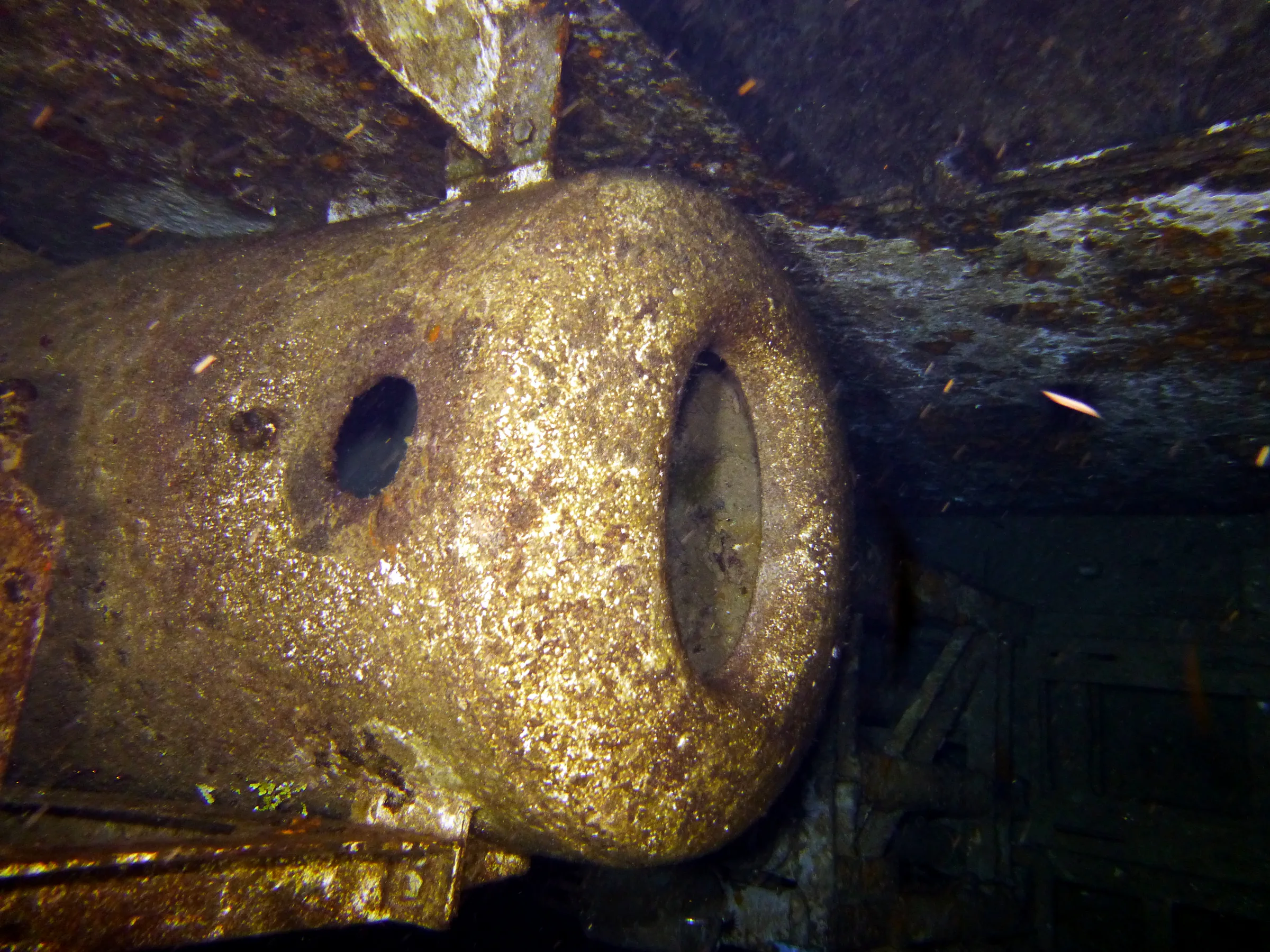 Cayman Islands underwater photograph, 2014