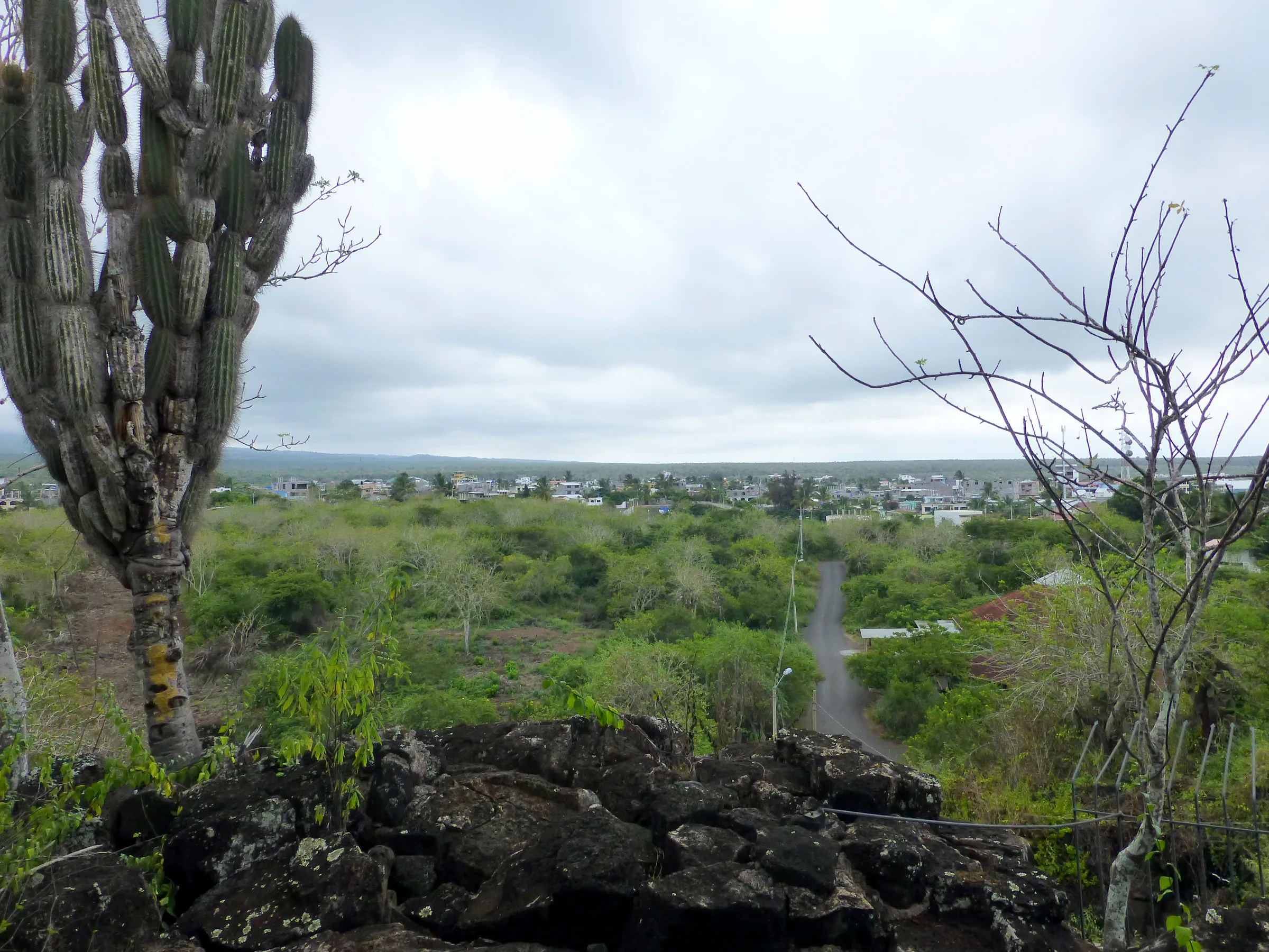 Looking back toward Puerto Ayora from the ranger station at the entry to Tortuga Bay.  Notice the  thick marine layer.