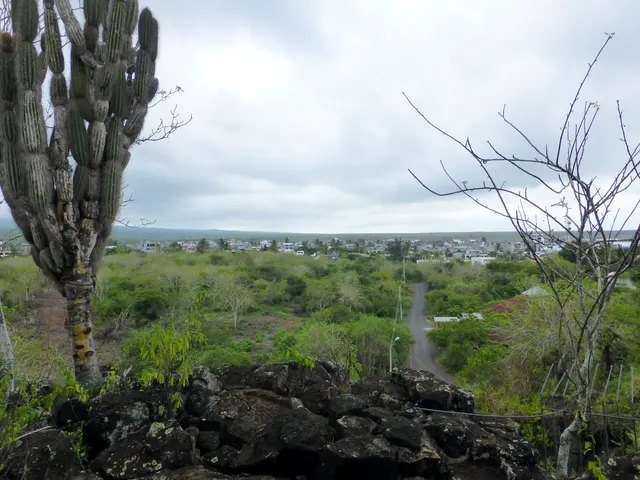 Looking back toward Puerto Ayora from the ranger station at the entry to Tortuga Bay.  Notice the  thick marine layer.