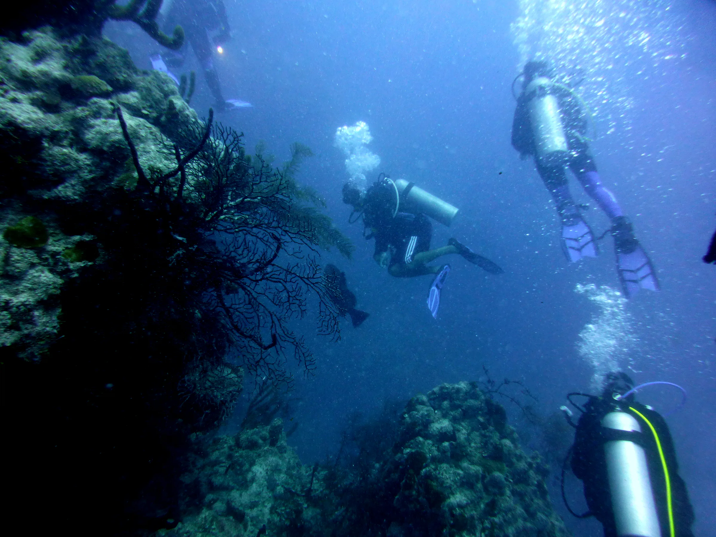 Belize underwater photograph, 2017