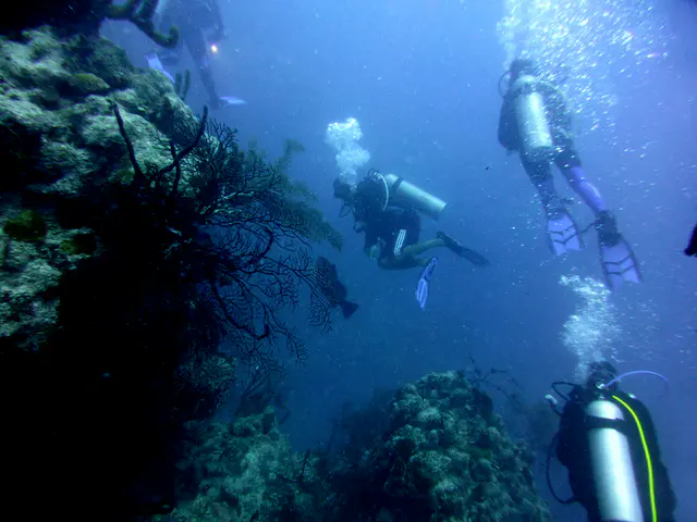 Underwater photograph by Joel Bergsma