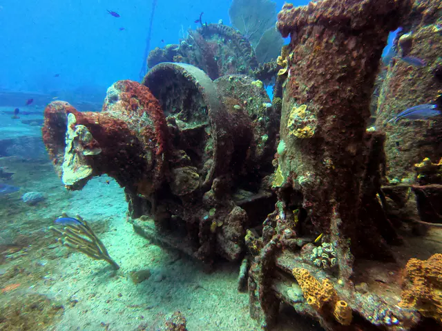 DCIM\100GOPRO\GOPR1119.JPG