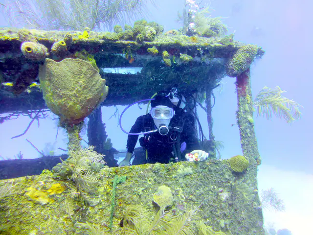 Underwater photograph by Joel Bergsma