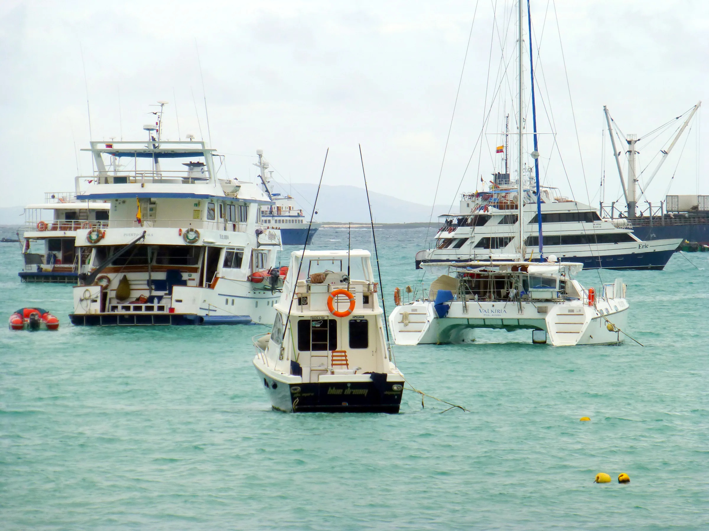 The average cruise ship in the Galapagos hosts 8 to 20 passengers.  Seen here are a few of the passenger ships at anchor in Puerto Ayora's harbor.