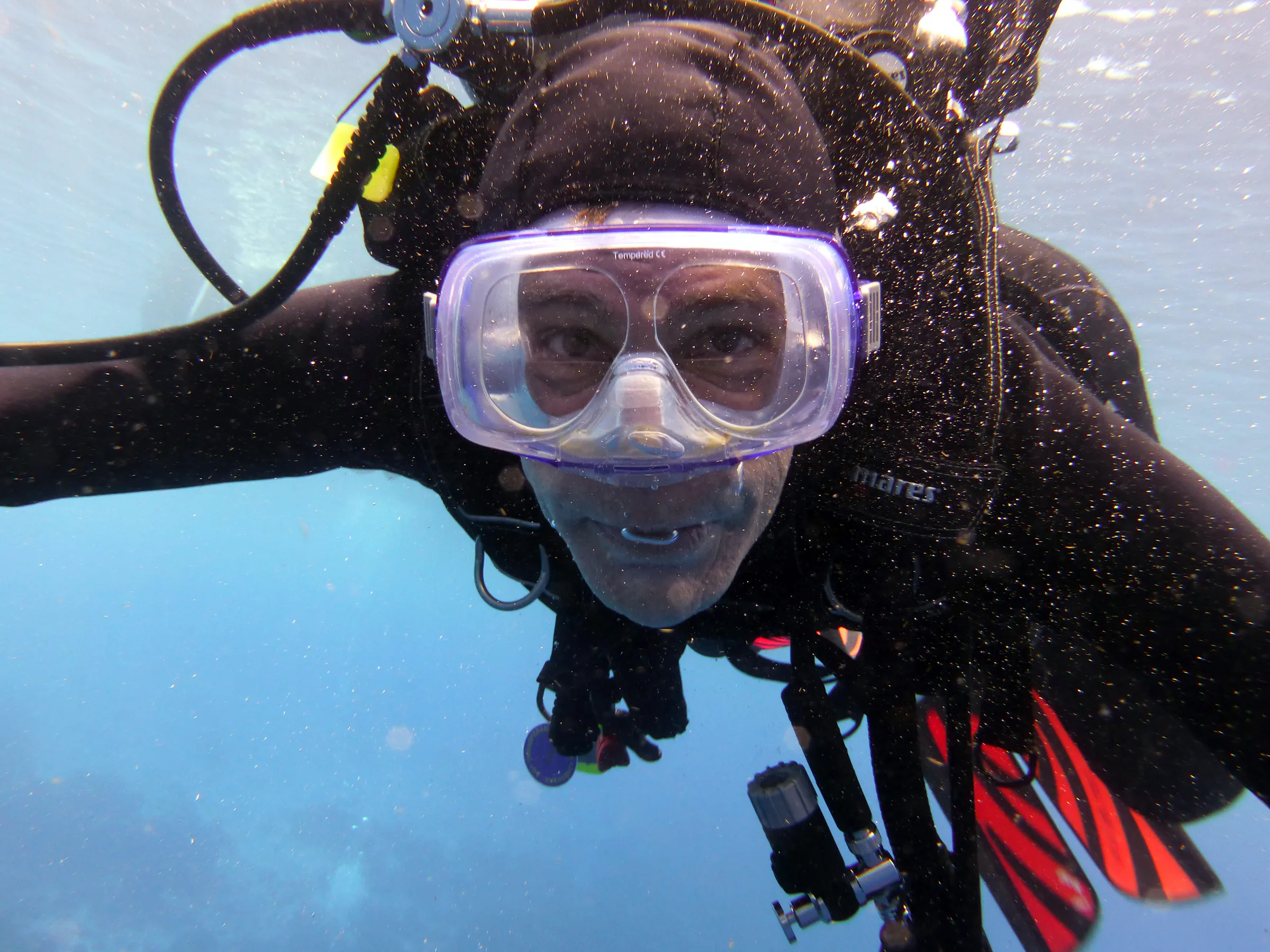 Bonaire underwater photograph, 2013