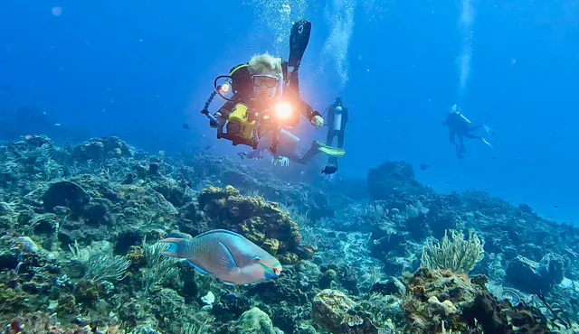 Underwater photograph by Joel Bergsma