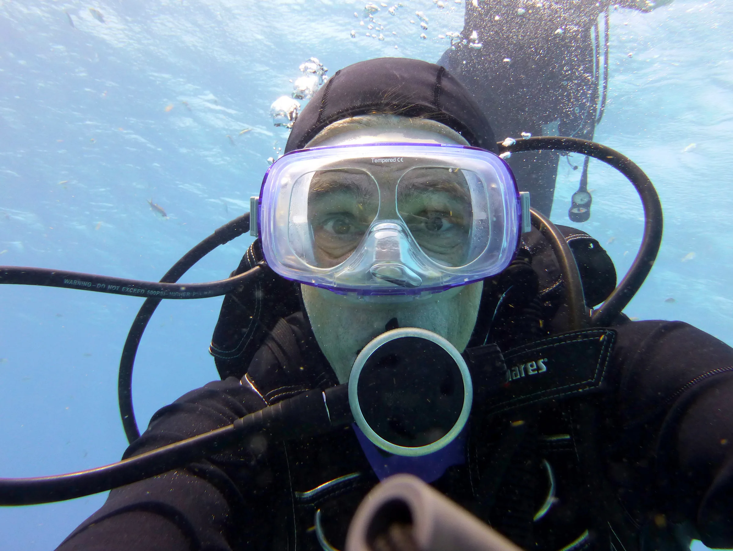 Bonaire underwater photograph, 2013