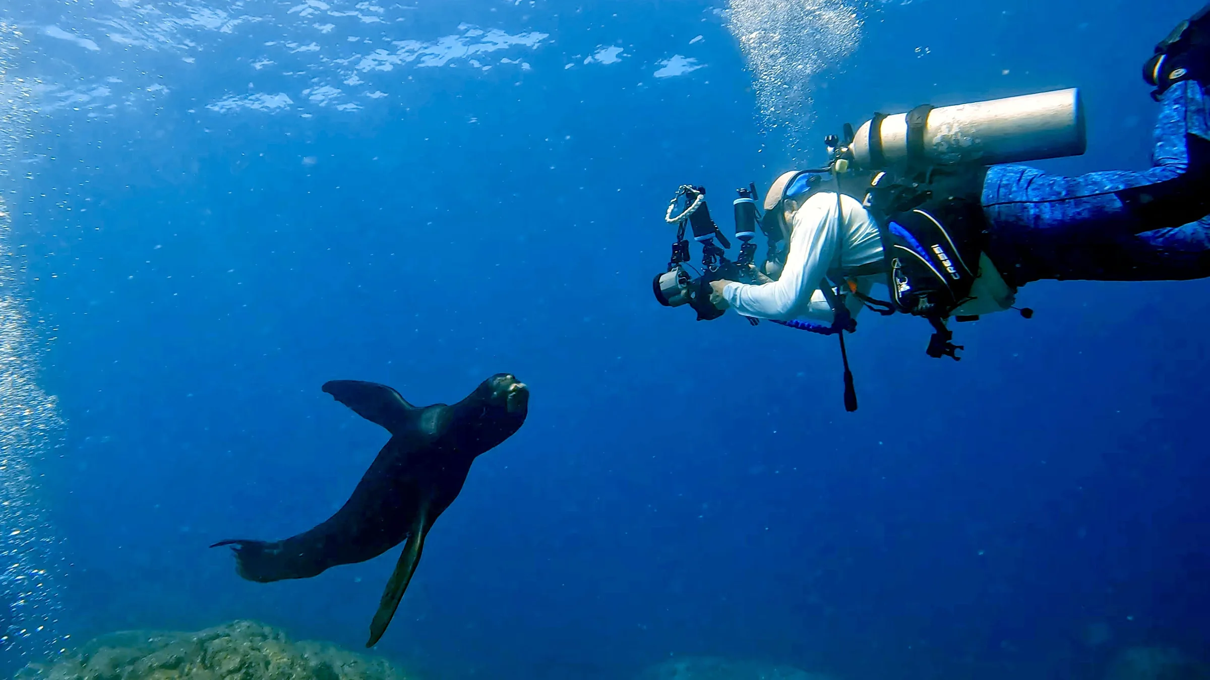 Sea of Cortez underwater photograph, 2023