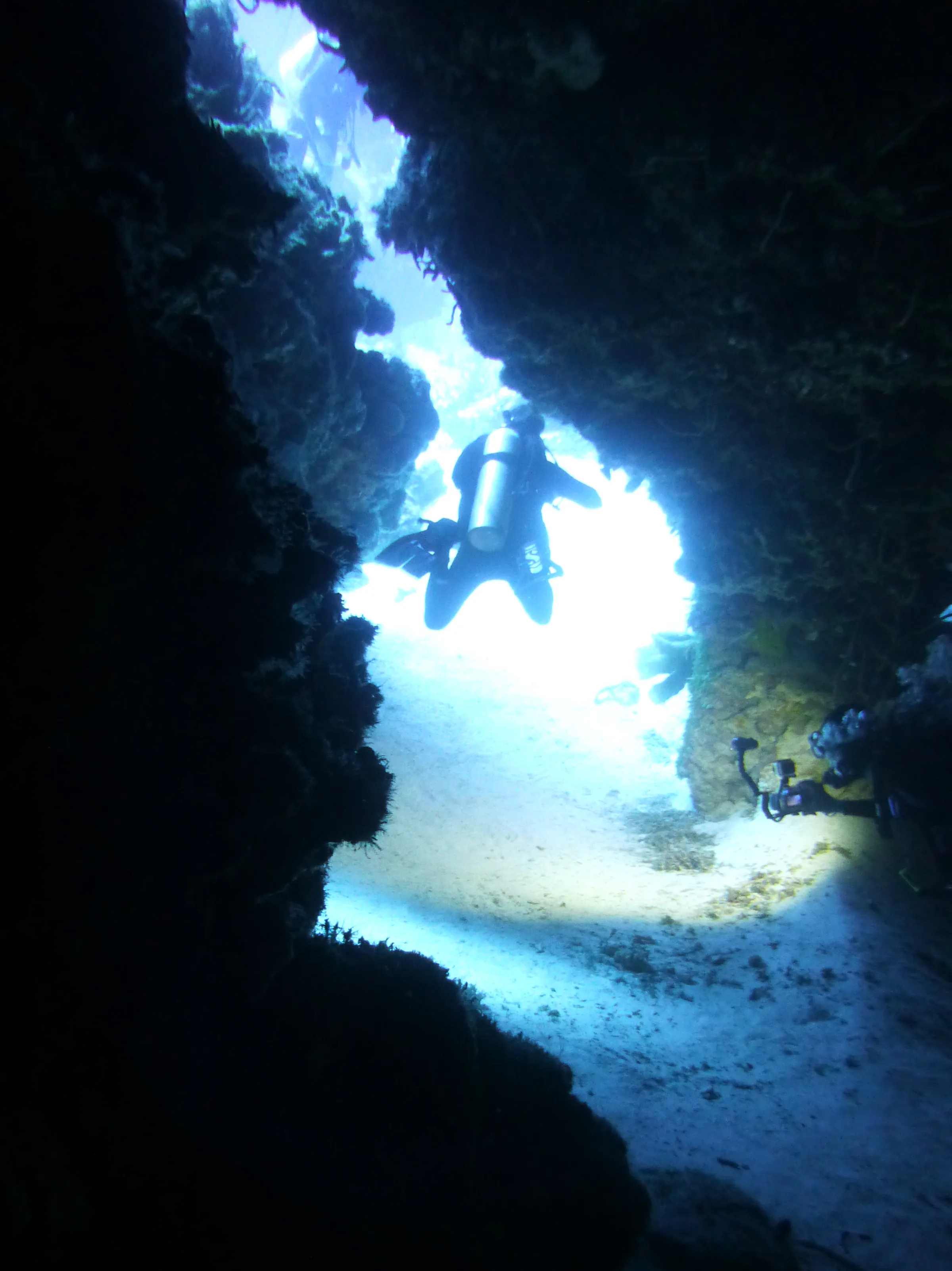 Cozumel underwater photograph, 2014