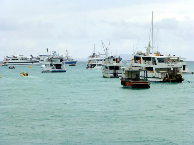 The average cruise ship in the Galapagos hosts 8 to 20 passengers.  Seen here are a few of the passenger ships at anchor in Puerto Ayora's harbor.
