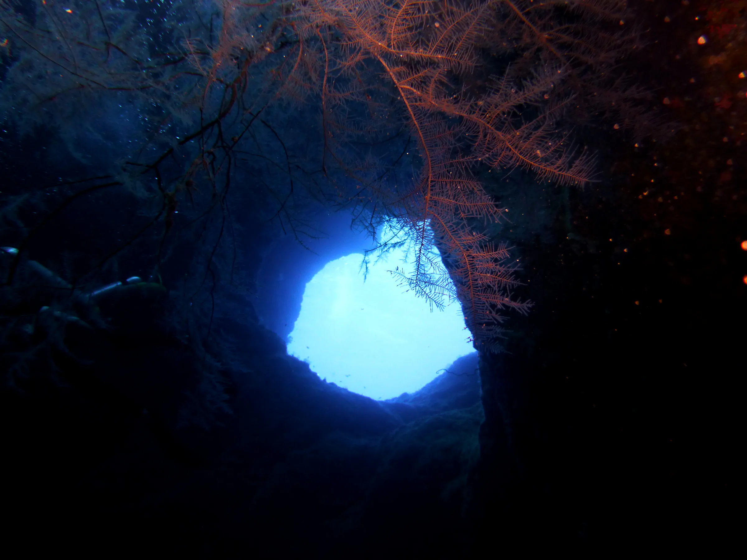 Palau underwater photograph, 2013