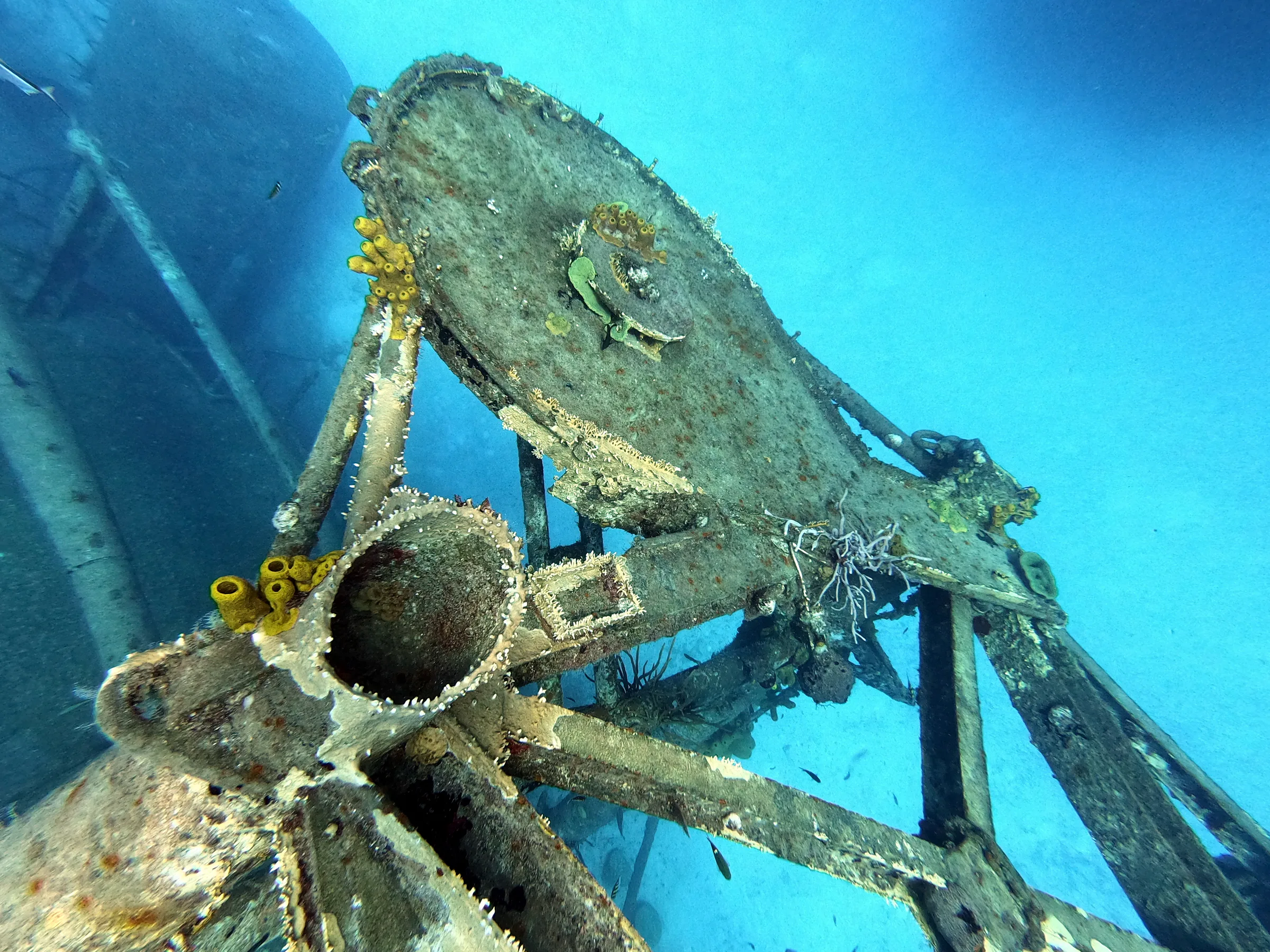 DCIM\100GOPRO\GOPR1083.JPG