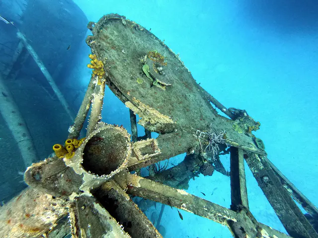 DCIM\100GOPRO\GOPR1083.JPG