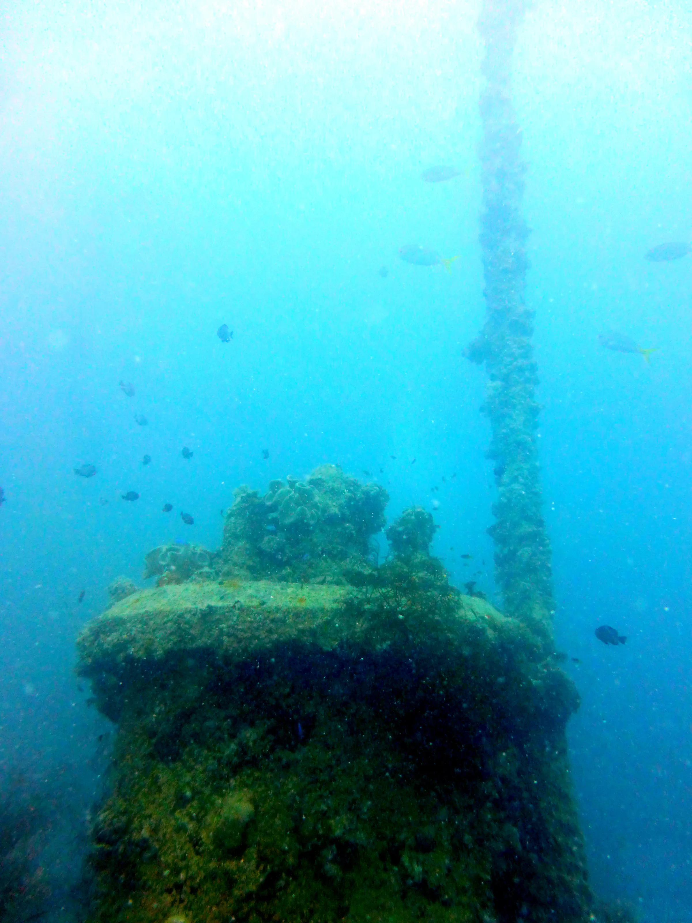 Palau underwater photograph, 2013