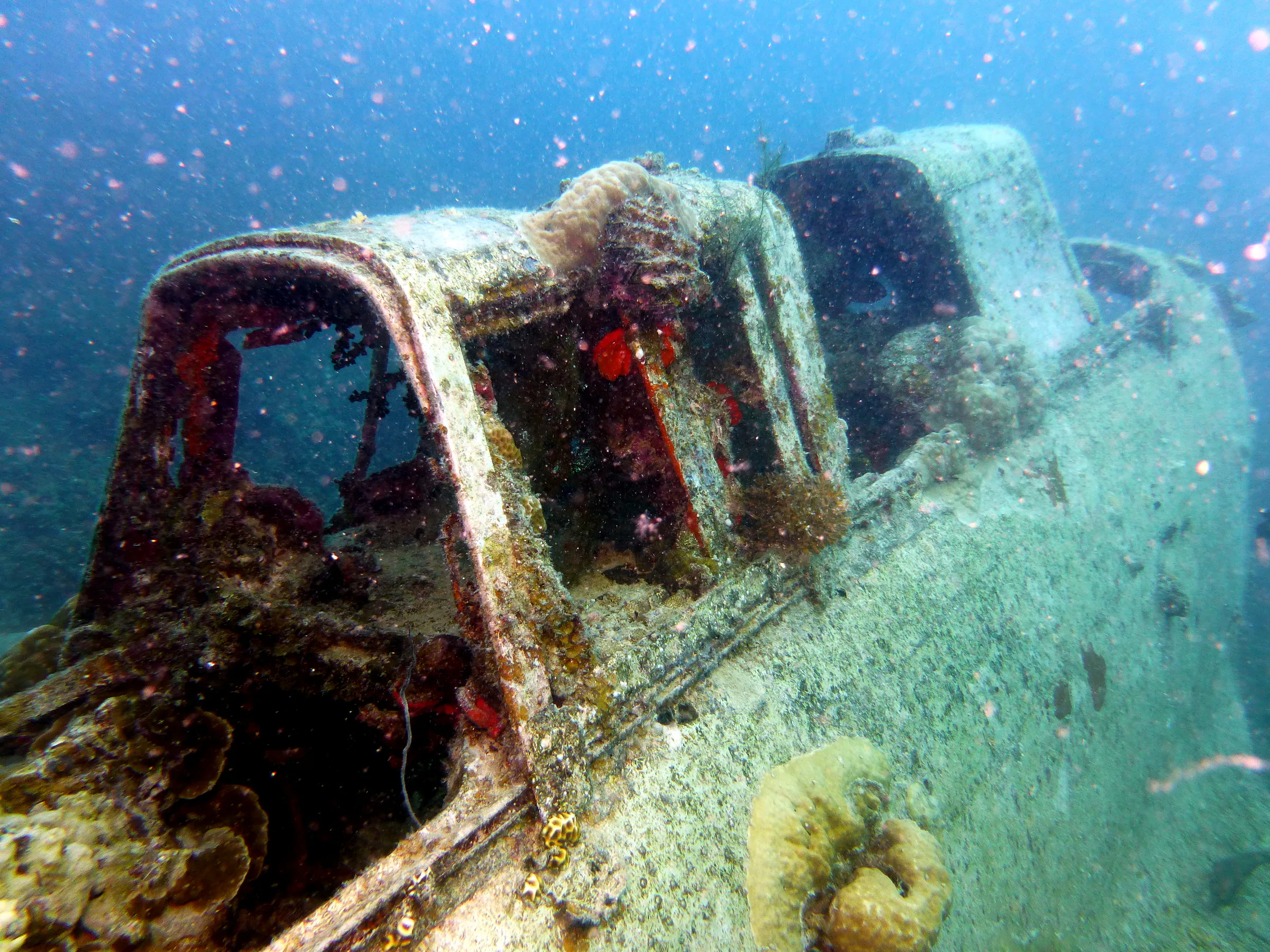 Palau underwater photograph, 2013