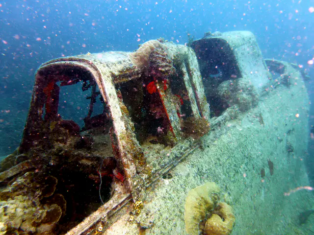 Underwater photograph by Joel Bergsma