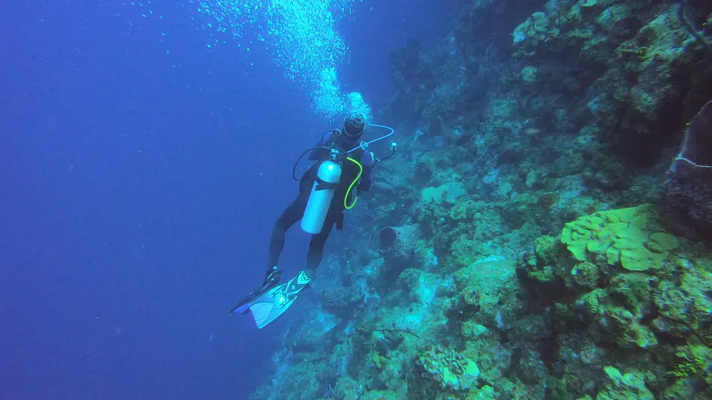 Diver Bill Ring along the Bloody Bay Wall