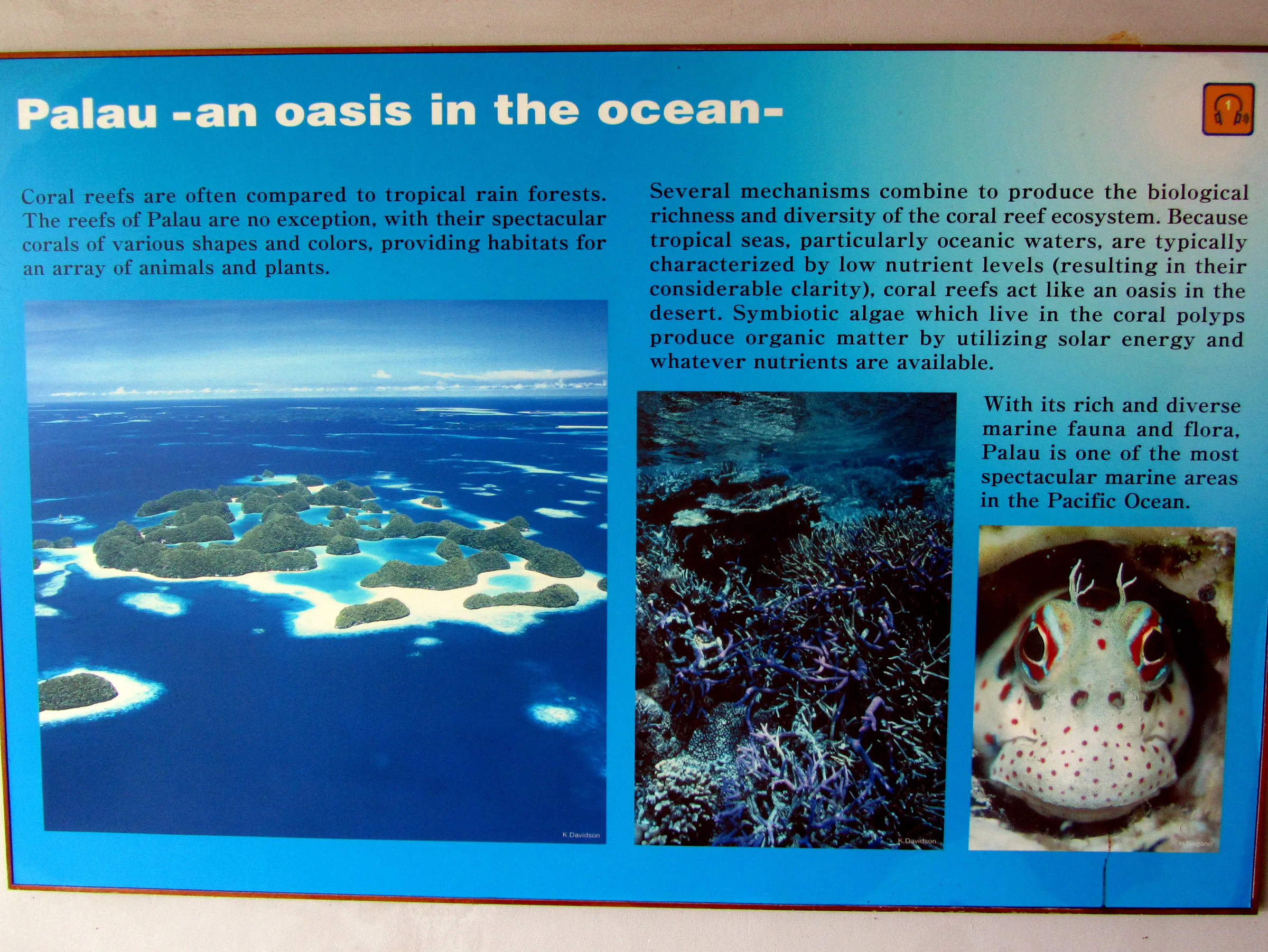 Palau and an aerial photo of the 70 islands, a group of Rock Islands constituting a marine reserve that (we were told) was set aside in the 1960s as a natural preserve.