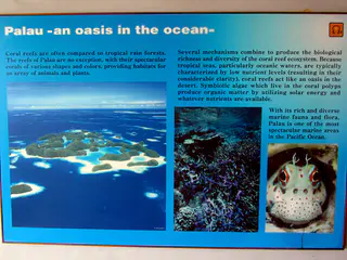 Palau and an aerial photo of the 70 islands, a group of Rock Islands constituting a marine reserve that (we were told) was set aside in the 1960s as a natural preserve.