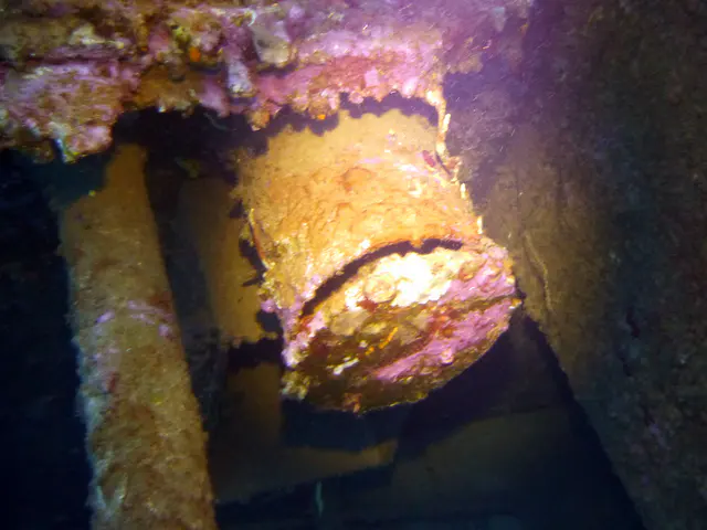 Underwater photograph by Joel Bergsma