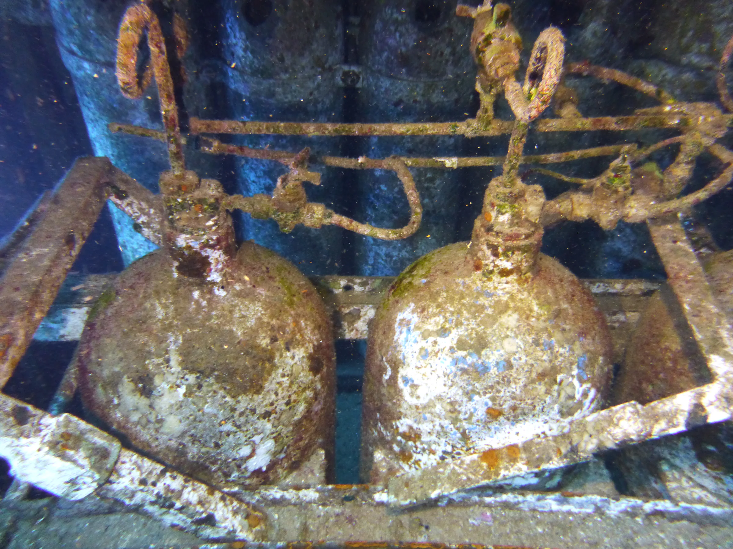 Cayman Islands underwater photograph, 2014