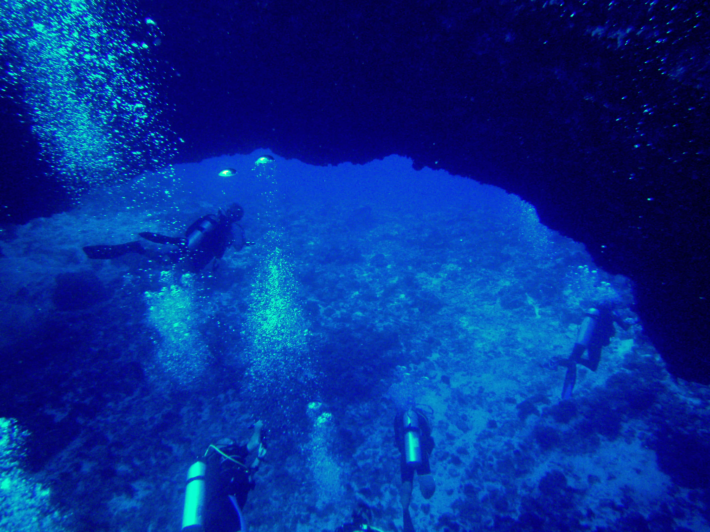 The arch of the Coral Bridge.
